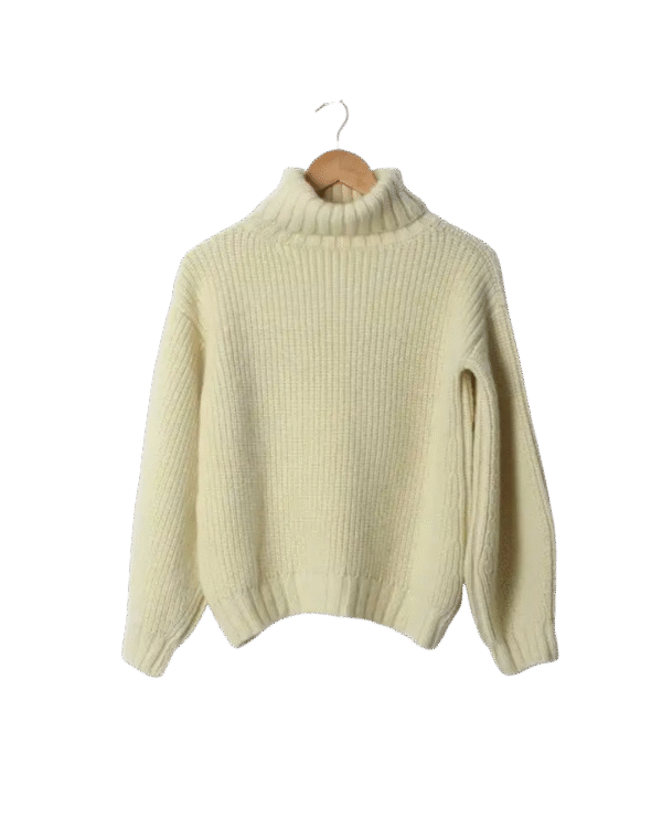 Men’s Cashmere Highneck Sweater